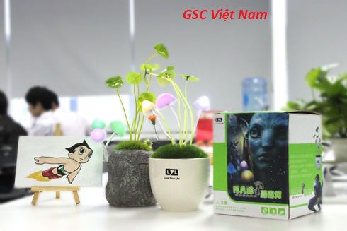 Chiếc bàn làm việc của bạn tiết lộ điều gì về bạn